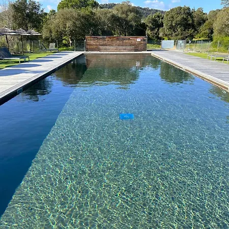 Apartamento 4* Piscine Et A Pied